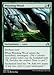 Magic: the Gathering - Weirding Wood (240/297) - Shadows Over Innistrad