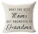 Andreannie Best Gifts Family is Everything Cotton Linen Throw Pillow Case Motivational Inspirational Quote Throw Pillow Case Cushion Cover Home Office Decorative Square 18 X 18 Inches (White/Black)