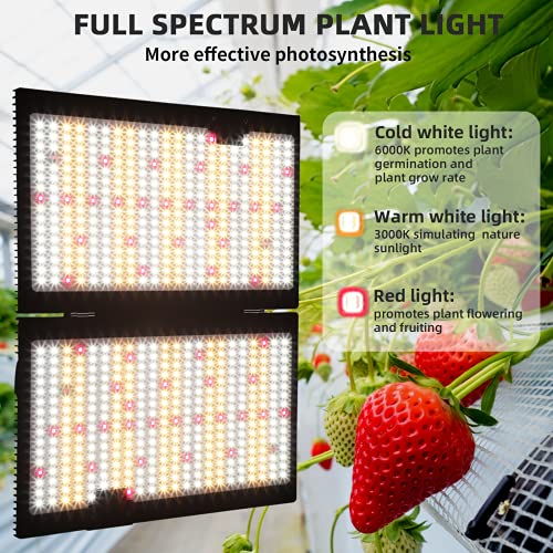 WAKYME J2000W LED Grow Light Dimmable, 4x4ft Sunlike Full Spectrum