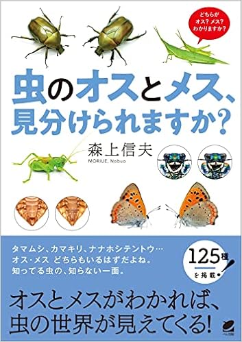 虫のオスとメス 見分けられますか 森上 信夫 本 通販 Amazon