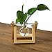 Ivolador Desktop Glass Planter Bulb Vase with Retro Solid Wooden Stand and Metal Swivel Holder for Hydroponics Plants Home Garden Wedding Décorthumb 4
