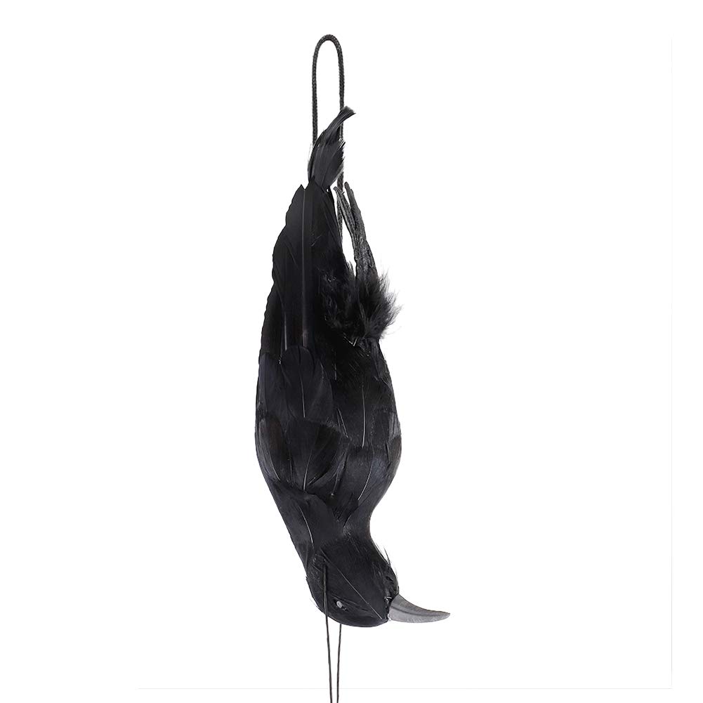 WERTSWF Dead Crow Halloween Prop, Scary Hanging Crows Decoy Black Feathered Raven for Garden Haunted House Grave