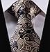 HISDERN Paisley Tie Handkerchief Woven Classic Men's Necktie & Pocket Square Set,Gold & Navy Blue,One Size