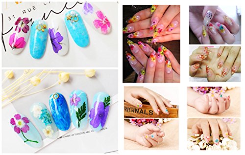 XICHEN Nail Art Accessories 12-color three-dimensional nail dry flowers 36 Starry + 36 five flower+36 Beauty cherry, Zou Ju with leaves
