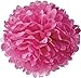 Funny Zakka - Pom Poms Ball Blooms 6