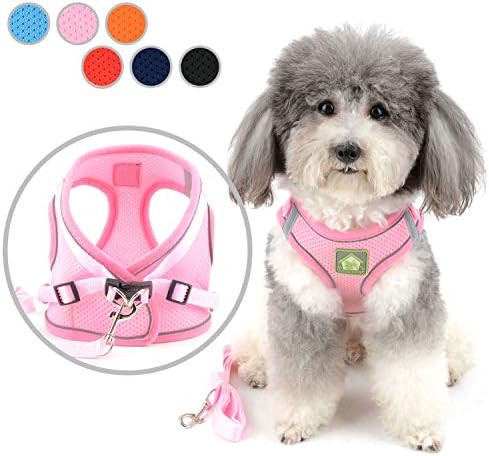 Zunea No Pull Dog Harness and Leash Set for Small Dogs Adjustable Reflective Puppy Vest Harnesses Soft Mesh Step-in Pet Cat Harness Escape Proof for Walking, Bright Colors for Dogs Girl Boy