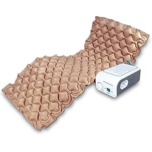PAXMAX Medical Air Bed Mattress with Air Pump To Prevent Bed Sores