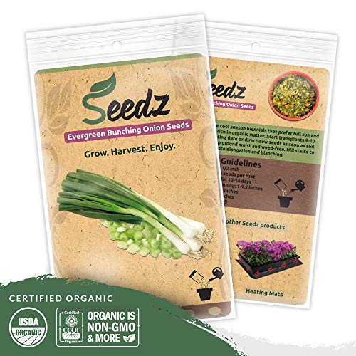 CERTIFIED ORGANIC SEEDS (Appr. 550) Organic Green Onion Seeds