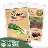 Organic Onion Seeds (APPR. 550) Green Onion - Heirloom Vegetable Seeds - Certified Organic, Non-GMO, Non Hybrid - USA