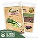 Organic Onion Seeds (APPR. 550) Green Onion - Heirloom Vegetable Seeds - Certified Organic, Non-GMO, Non Hybrid - USA primary