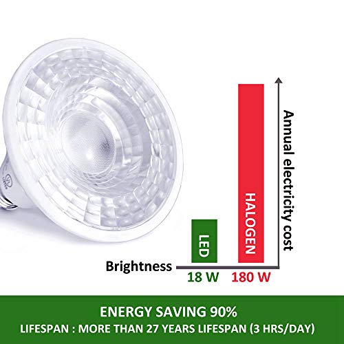 Par38 LED, Tanbridge High Power Lamp Beads, Indor and Outdoor Par38 LED Flood Light, 18W (180W Equivalent), E26 Base, 5000K Daylight, 60° Beam Degrees, Energy Star (4 Pack)