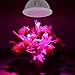 I-PURE ITEMS TM 24W LED Grow Light Bulb, High Efficient Plant Growing Lamps for Garden, Greenhouse, Indoor Gardening,Hydroponic and Family Balcony