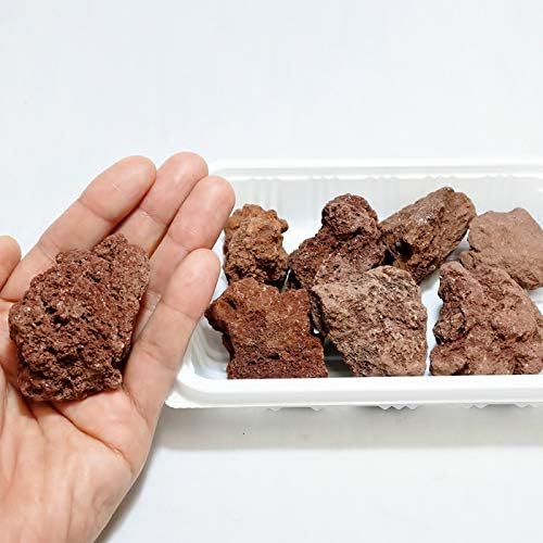 コケのインテリア コケリウム テラリウム 石 天然赤溶岩石ss 流行のアイテム 形状お任せ パック詰め 天然石