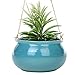 Mediterranean Style Round Cerulean Succulent Hanging Planter Pot with Twisted Jute Twine Rope