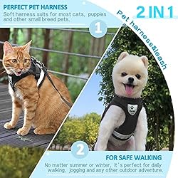 Supet Cat Harness and Leash Set for Walking and