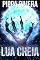 Livro Lua Cheia