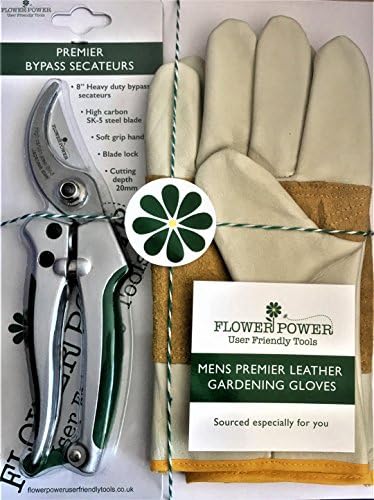 Mens Leather Gardening Gloves and Bypass Secateurs Set - Premier Work Gloves & Heavy Duty 8" Pruners - Perfect Garden Gift for Men. (Glove - Large)