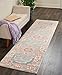 Nourison PSN03 Passion Traditional Area Rug, 2'2