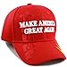 The Hat Depot Exclusive 45th President Trump Make America Great Again 3D Cap (Red-Flag)
