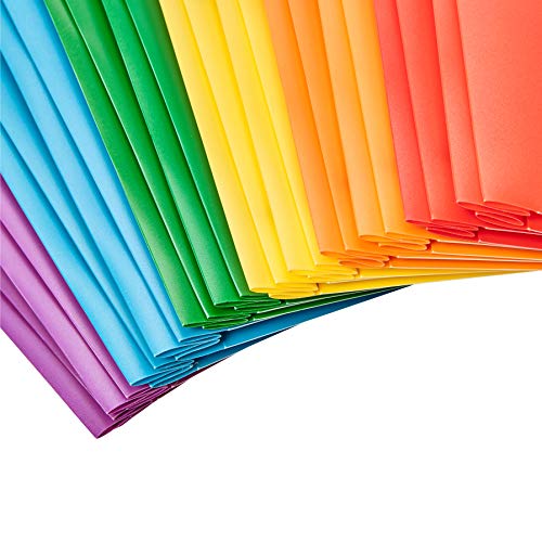 3 AmazonBasics+Plastic+Pocket+Folder+Letter