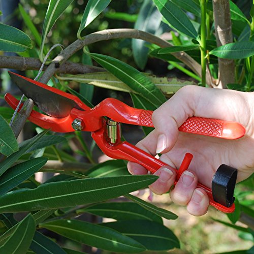 Professional Pruning Shears - Best Heavy Duty Hand Pruners for Serious Gardening - Versatile, Ergonomic, Razor Sharp Steel Garden Clippers, Tree Trimmers + Holster! - Image 5