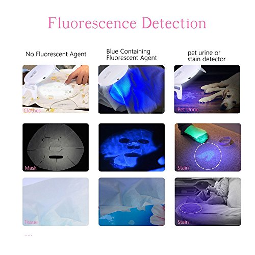 image for RAYWAY NailShow Mini Nail Dryer Portable USB Nail Curing Lamp with 45/