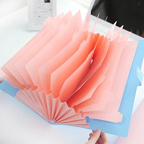 A4 Expanding File Folder, Multiple-Pocket, Document Organizer, With Blank Label Tab, Snap Button Closure, Waterproof, Durable, Colorful (12-Pockets-Blue)