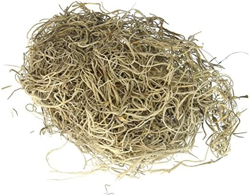 Spanish Moss 8oz.