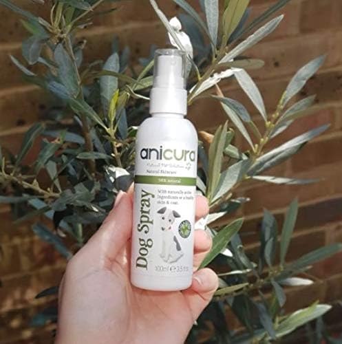 Anicura Dog Spray, Instant Relief for Itchy Dry Skin & Allergies, Reduces Scratching, Licking & Discomfort - Image 5