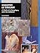 SCULPTER LA COULEUR (BEAUX LIVRES) by