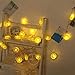 Novelty Lemon Decor Fairy String Lights with 20 LED, Battery Operated Warm Twinkle Christmas String Lights for Kitchen,Party,Wedding,Festival,Home Decorations,13ft/4m (Provide Two Extra Lemon Slices)
