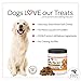 Advanced Hip and Joint Supplement for Dogs- Daily Hip-Jo's by iDash Pets- Best Glucosamine for Dogs, Chondroitin, Turmeric, MSM for Dogs- Hip Dysplasia, Dog Arthritis Pain Relief - 130 Soft Chews