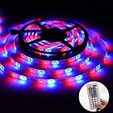 Ledgle LED Light Strip Kit,Waterproof 16.4ft,300 LEDs SMD5050 Color Changing RGB Strip Lighting with 44 Key Remote & 12V 5A Power Supply for Party,Holidays & Decorations (16.4ft 300LEDs)