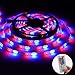 Ledgle LED Light Strip Kit,Waterproof 16.4ft,300 LEDs SMD5050 Color Changing RGB Strip Lighting with 44 Key Remote & 12V 5A Power Supply for Party,Holidays & Decorations (16.4ft 300LEDs)