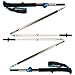 Black Diamond Distance FLZ Trekking Poles