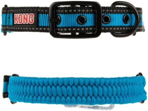 kong pet collar