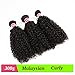 ISEE Hair Virgin Malaysian Deep Curly Jerry Curly Human Hair 3 Bundles,100% Unprocessed Human Hair Extensions Natural Black Can Be Dyed 14 16 18inches