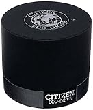 Citizen Perpetual Chrono