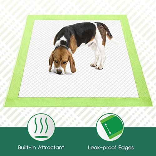 CROCI ECO GREEN DOG PADS 22X23IN PUPPY PADS, PLANT-BASED PEE PADS FOR DOGS ABSORBS UP TO 4 CUPS OF LIQUID, 5-LAYER LEAK-PROOF & QUICK DRYING DOG TRAINING PADS, DISPOSABLE (50 COUNTS)