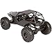 Luxury RC Black Aluminum Axial Racing Wraith Body Panel Kit (with Half Roof)