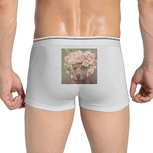 Laur2 Pit Bull Flower Men's Brief Boys Boxer Briefs Low-Waisted Underpants Cotton Underwear Back Printed Knickers