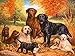 Sun Cling 5D Diamond Painting Kits Full Drill Diamond Embroidery, 12x16 Inches