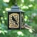 Perky-Pet 363 Birds and Berries Lantern Feeder