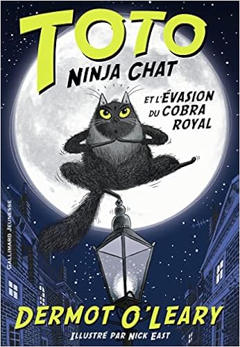 Toto Ninja Chat Et L Evasion Du Cobra Royal Grand Format Litterature Romans Cadet French Edition O Leary Dermot East Nick Chaunac Karine Amazon Com Books