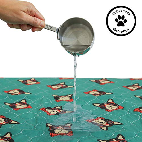 rocket & rex Washable, Puppy Pee Pads. Waterproof, Pet Training Reusable Pads. Leak-Proof and Absorbent. Whelping, Incontinence, Travel. (30" x 36" - 2 Pack, Hipster Dog) - Thumbnail 2