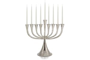 Michael Aram Molten Menorah