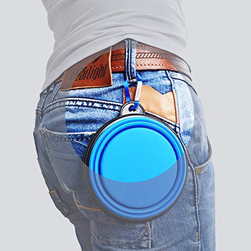 Eastern Horses 5PCS 3"/8cm Carabiner Keychain Aluminum Random Multiple Color, D Shape Buckle Pack Light Weight Spring Loaded, Used for Camping, Traveling, Fishing, Hiking, Badge, Water Bottle - Thumbnail 4