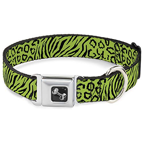 Buckle-Down Seatbelt Buckle Dog Collar - Cheebra Green/Black - 1.5" Wide - Fits…