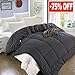 All Season Queen Goose Down Alternative Quilted Comforter with Corner Tabs - Hypoallergenic -Double Plush Fabric -Super Microfiber Fill -Machine Washable - Duvet Insert & Stand-Alone Comforter - Grey