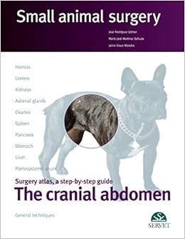 Dog Stomach Flip Surgery Cost Big Sale Off 63 Dog Stomach Flip Surgery Cost Big Sale Off 63